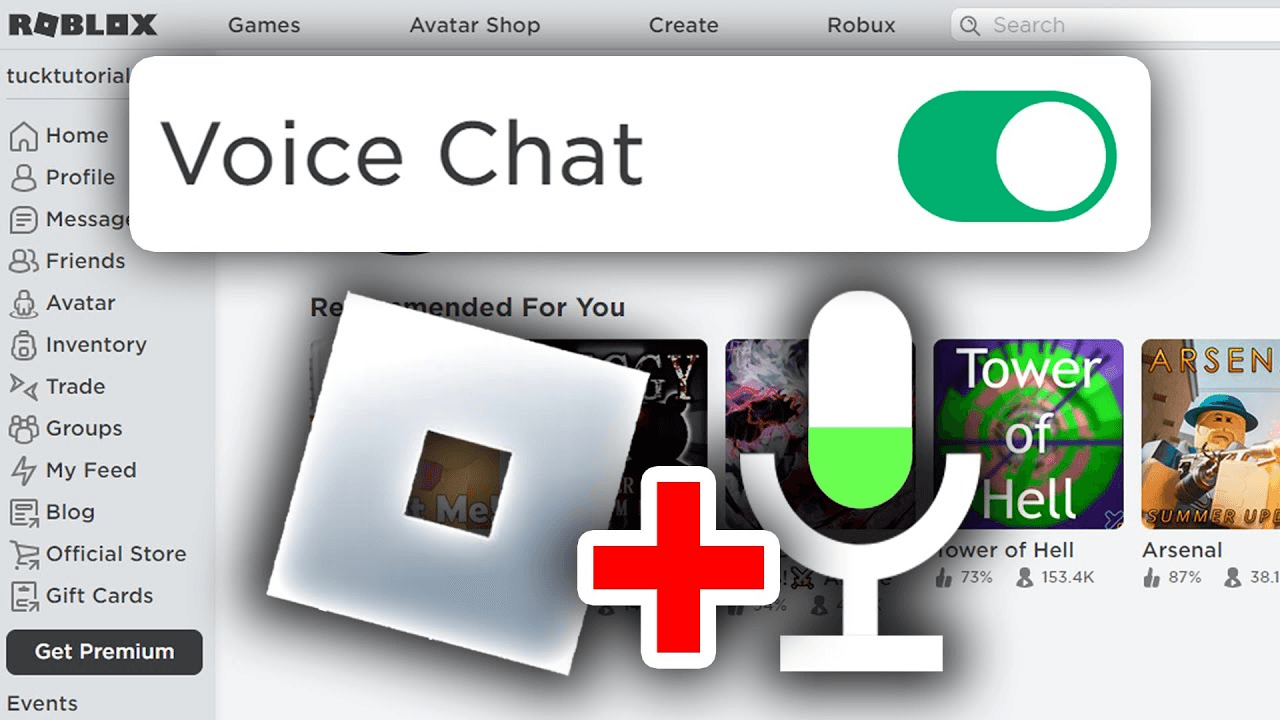 Roblox Voice Chat